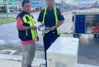 LIM mengekspor frozen tuna loin melalui jalur udara dengan rute Ambon-Jakarta-Bali-Jepang. - DJBC