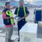 LIM mengekspor frozen tuna loin melalui jalur udara dengan rute Ambon-Jakarta-Bali-Jepang. - DJBC