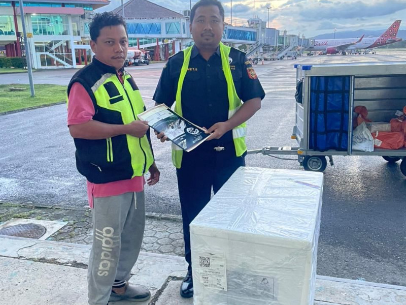 LIM mengekspor frozen tuna loin melalui jalur udara dengan rute Ambon-Jakarta-Bali-Jepang. - DJBC