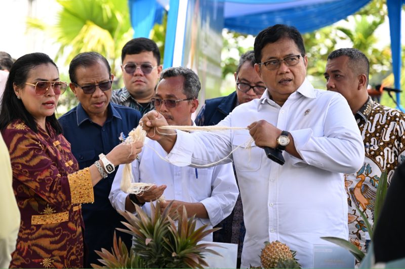 Wamen Transmigrasi menerima keluhan petani nanas di Desa Rimbo Panjang, Kecamatan Tambang, Kabupaten Kampar. (Foto: Tera Nusantara.com)