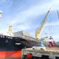 MV Bootes Twin. Mengangkut cangkang sawit ke pasar Jepang. Cangkang sawit menjadi komoditas ekspor yang dibutuhkan pasar sebagai sumber energi terbarukan.

- Foto DJBC