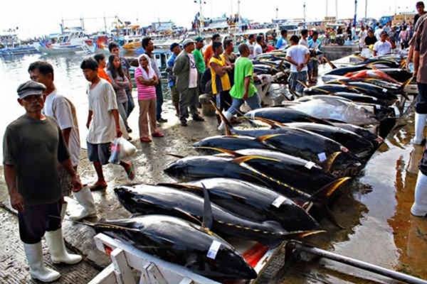 Nelayan Indonesia dengan hasil tangkapan berupa ikan tuna cakalang. - DKPP Buleleng
