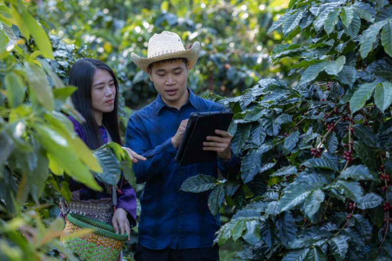 Dengan data yang tepat dan sistem pengukuran yang kredibel, pelaku agribisnis memiliki peluang untuk memimpin transisi menuju pertanian berwawasan iklim. Foto KOLTIVA