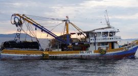 Sekitar 95% kapal perikanan yang terdaftar di KKP terbuat dengan bahan utama kayu.  Foto KKP